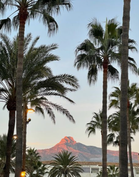 The 24th Hour Marbella